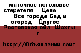 маточное поголовье старателя  › Цена ­ 3 700 - Все города Сад и огород » Другое   . Ростовская обл.,Шахты г.